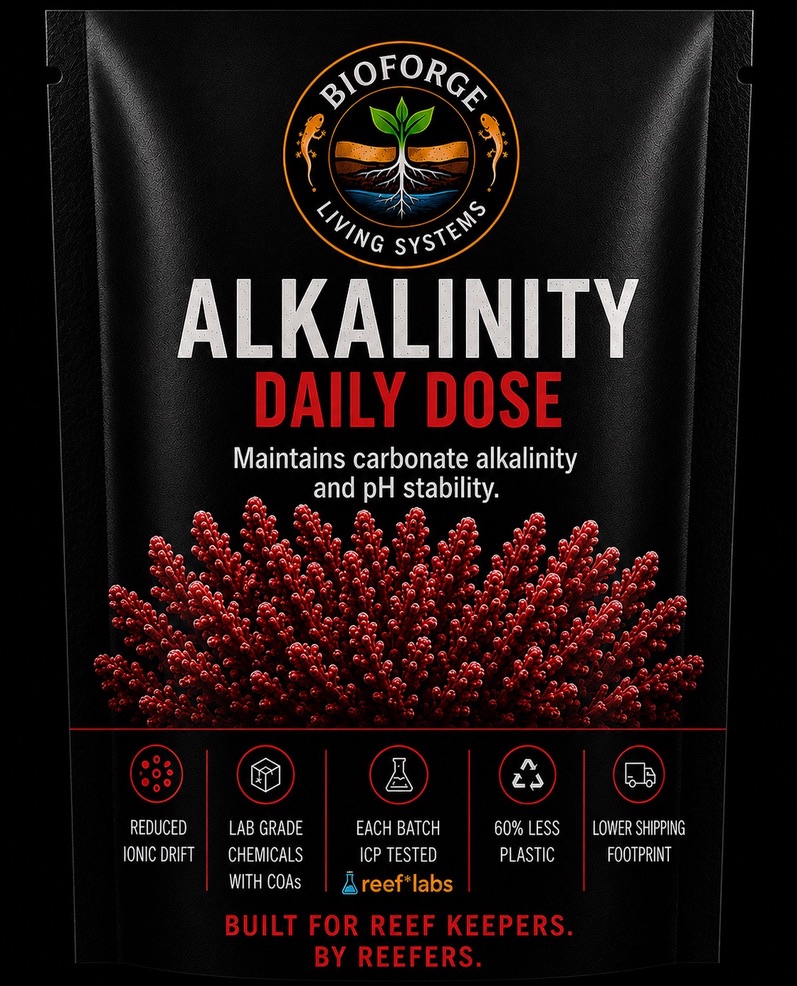 Core+ ALK